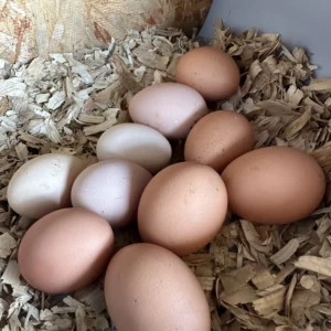 Farm Fresh Eggs